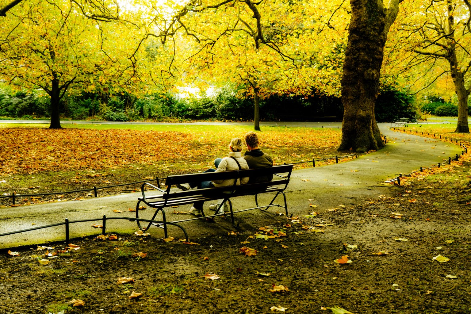A couple sitting close together on a park bench under golden autumn trees, seen from behind